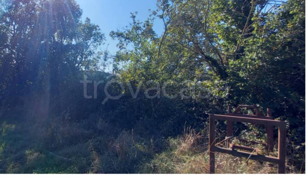 immagine annuncio 7 di 12