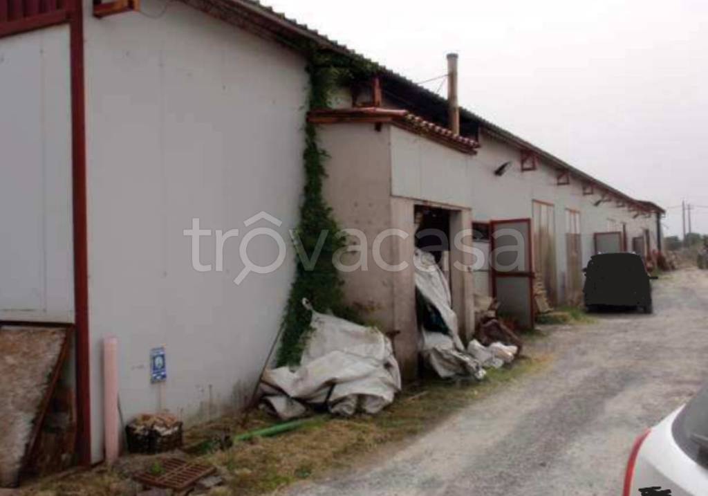 immagine annuncio 2 di 11