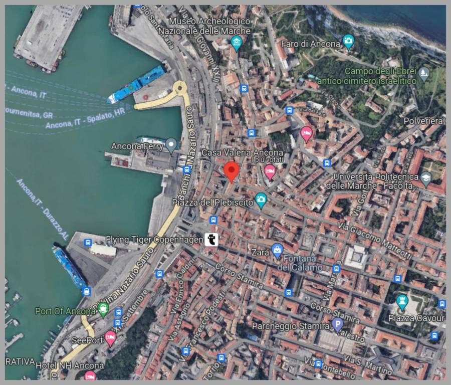 immagine annuncio 12 di 15