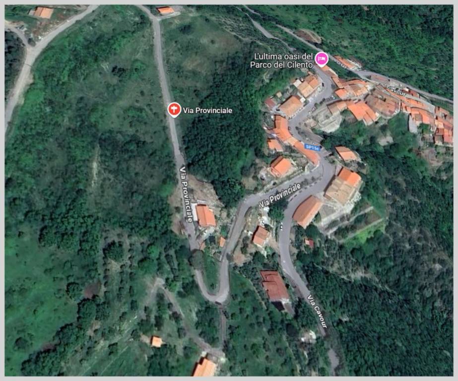 immagine annuncio 13 di 15