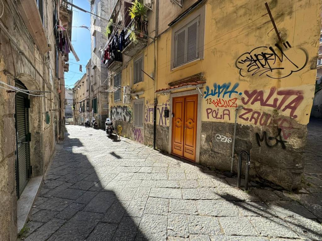 immagine annuncio 3 di 13
