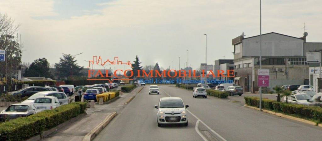 immagine annuncio 11 di 12