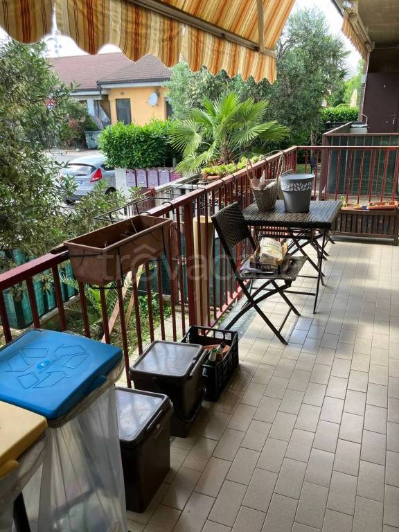 immagine annuncio 9 di 15