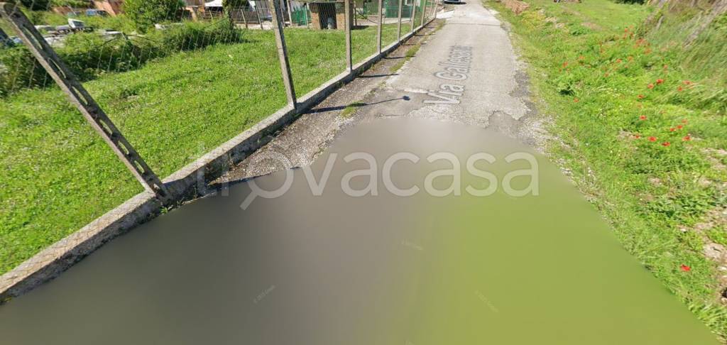 immagine annuncio 4 di 11