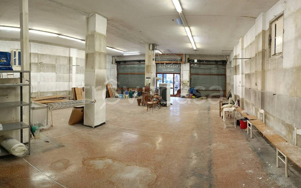 immagine annuncio 3 di 12