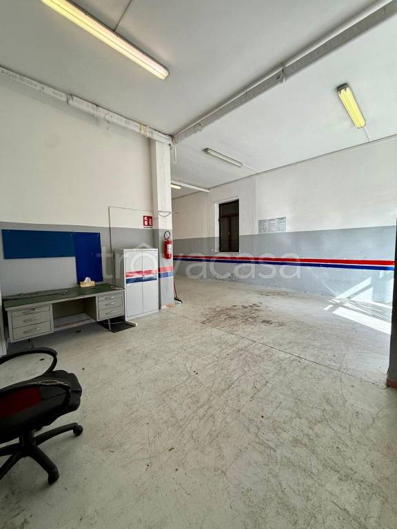 immagine annuncio 9 di 15