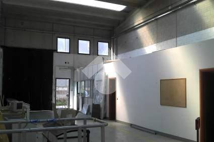 immagine annuncio 9 di 12