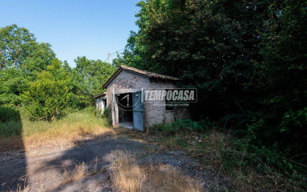 immagine annuncio 4 di 13