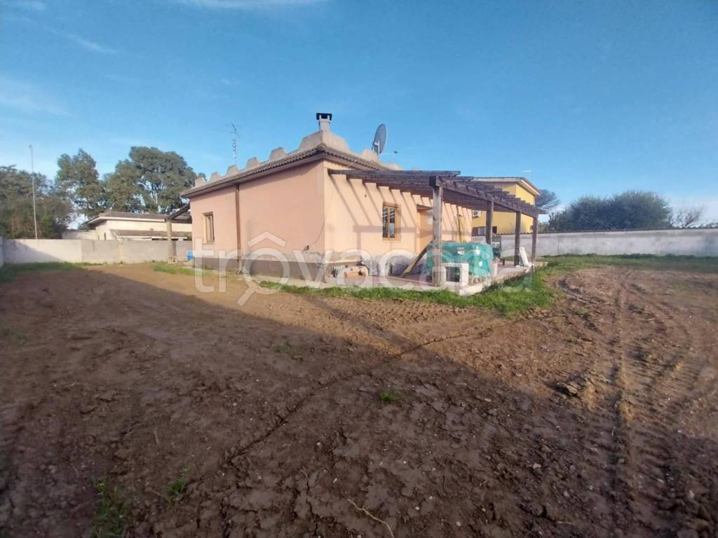 immagine annuncio 4 di 12