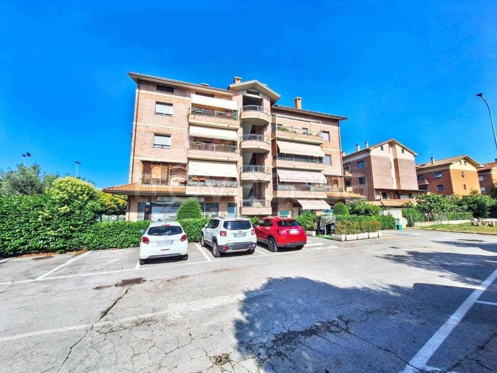 immagine annuncio 4 di 9