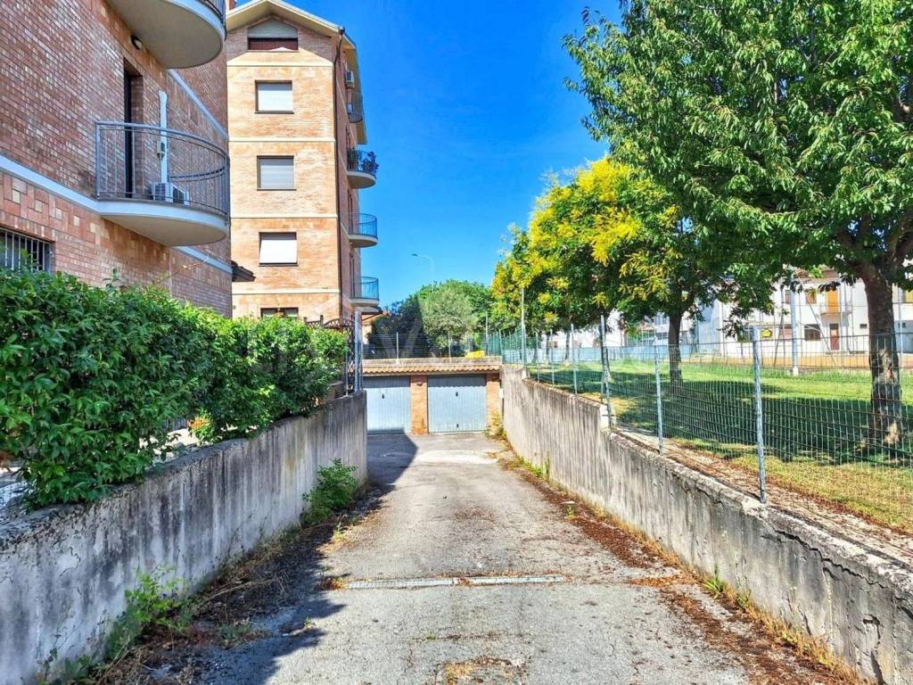 immagine annuncio 5 di 12