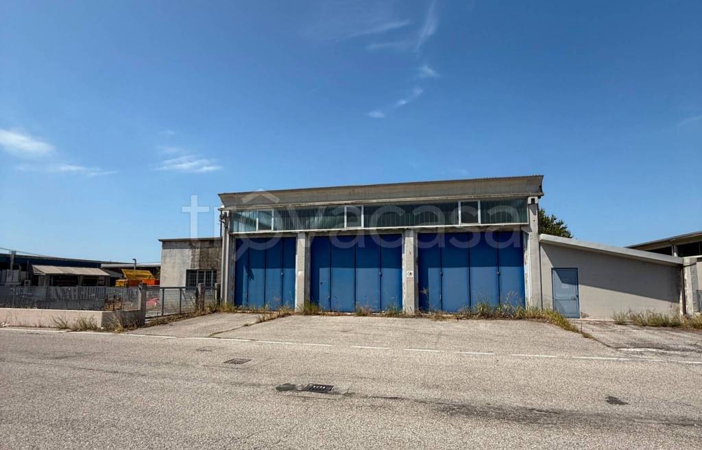 immagine annuncio 1 di 13