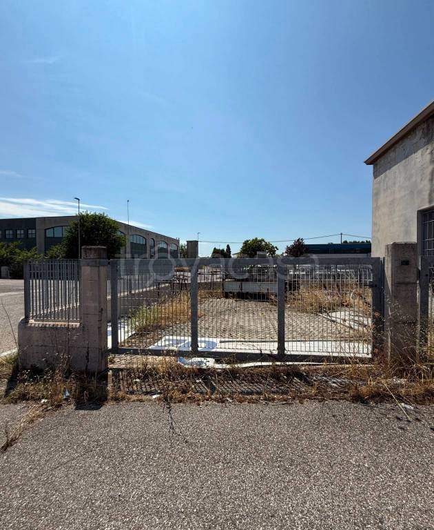 immagine annuncio 8 di 13