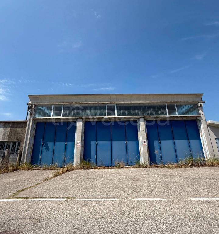 immagine annuncio 11 di 13