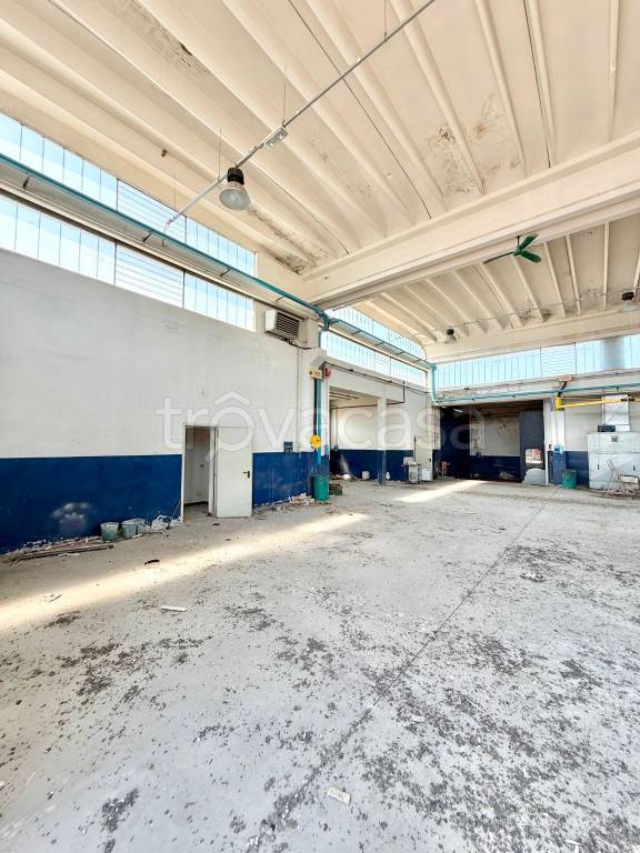 immagine annuncio 7 di 13