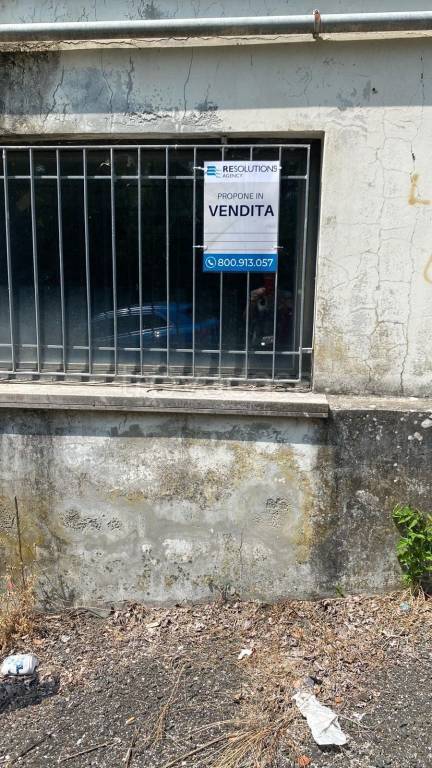 immagine annuncio 11 di 12