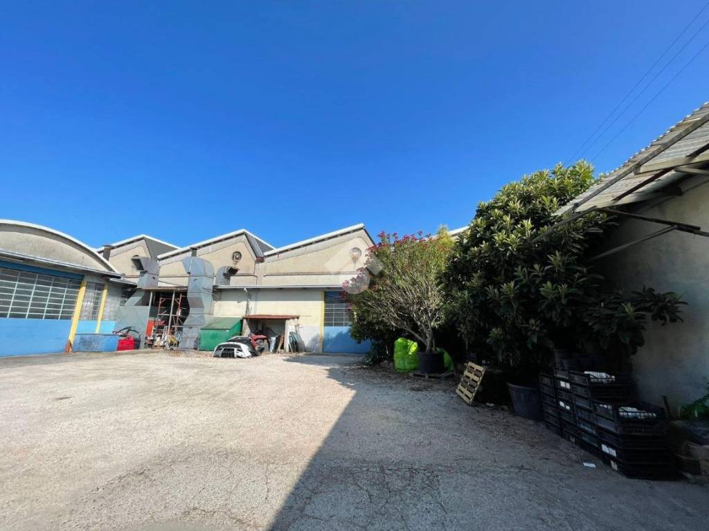 immagine annuncio 13 di 15