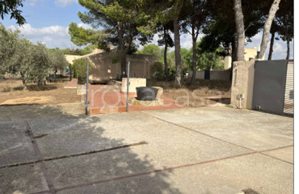 immagine annuncio 9 di 11
