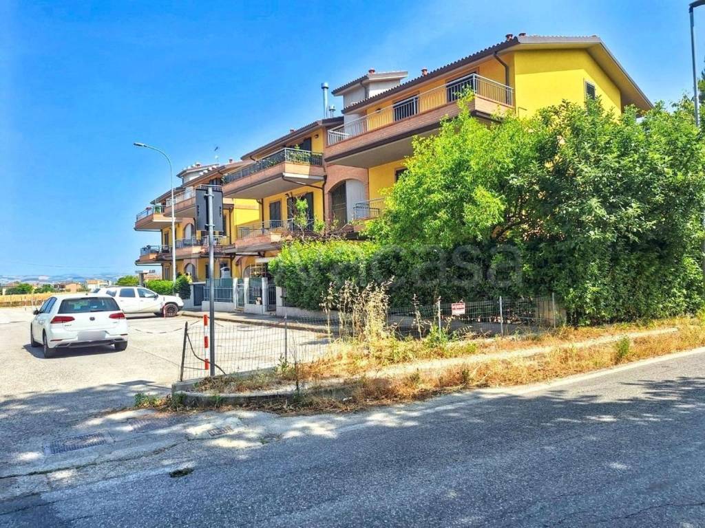 immagine annuncio 5 di 9