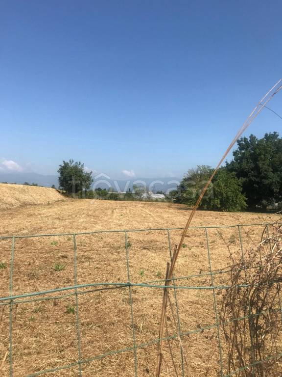 immagine annuncio 8 di 9