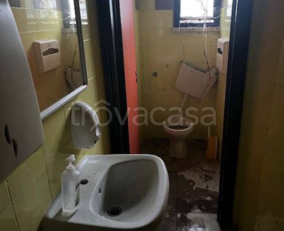 immagine annuncio 5 di 14