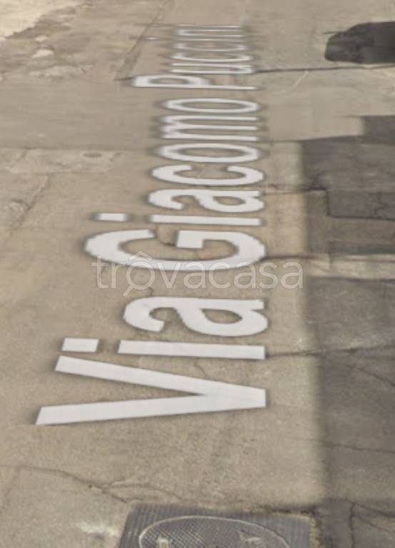immagine annuncio 11 di 14
