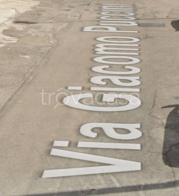 immagine annuncio 12 di 14