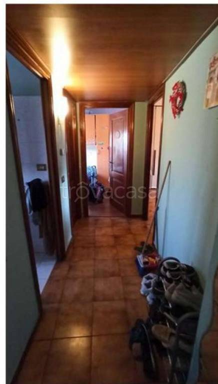 immagine annuncio 6 di 14