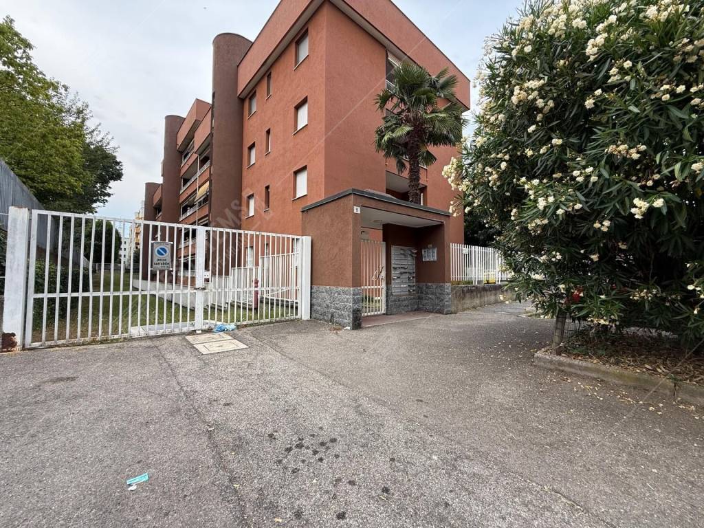 immagine annuncio 6 di 7