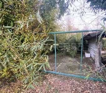 immagine annuncio 3 di 6