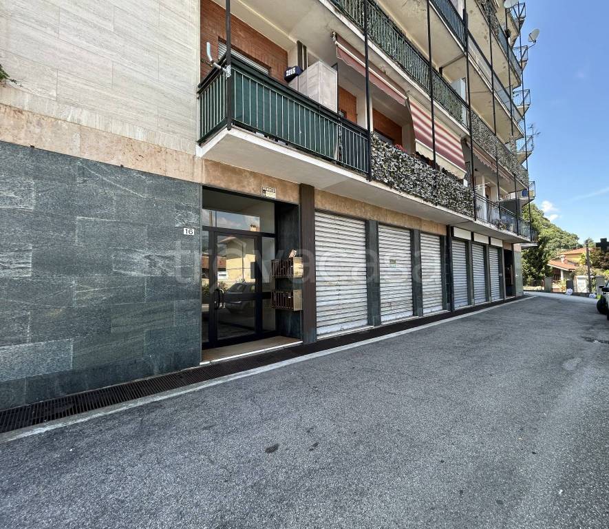 immagine annuncio 6 di 12