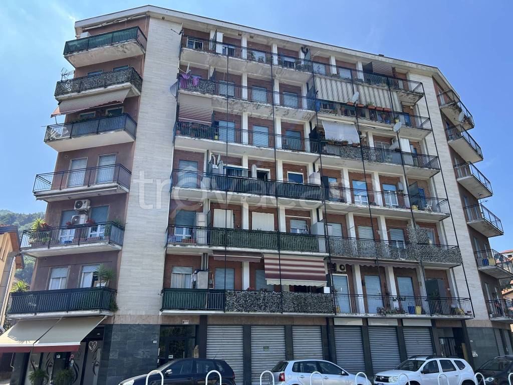 immagine annuncio 9 di 12