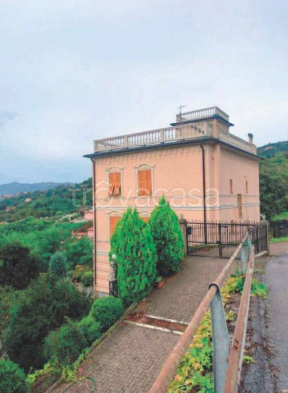 immagine annuncio 3 di 11
