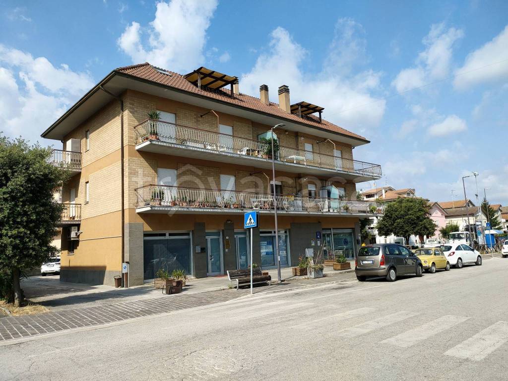 immagine annuncio 3 di 11