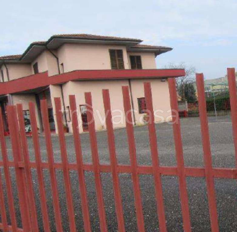 immagine annuncio 3 di 6