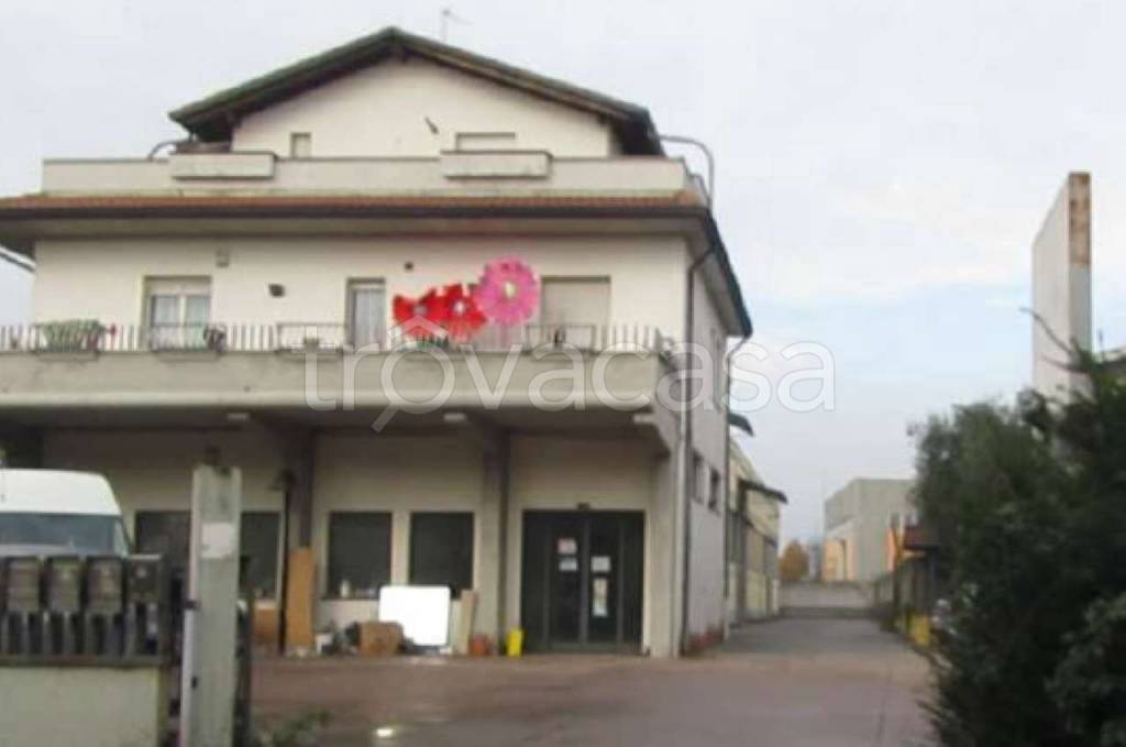 immagine annuncio 4 di 6