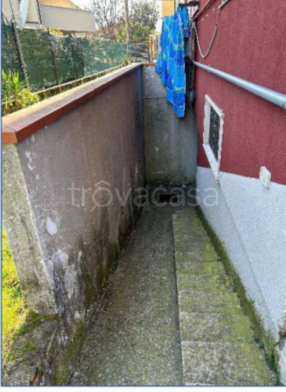immagine annuncio 10 di 14