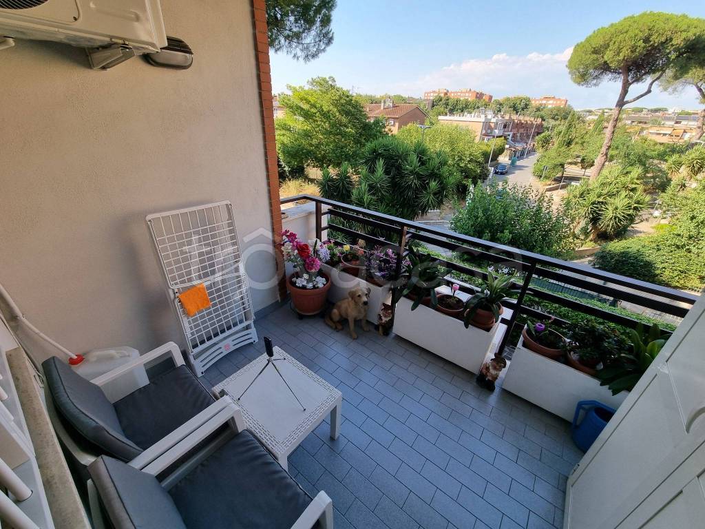 immagine annuncio 5 di 15