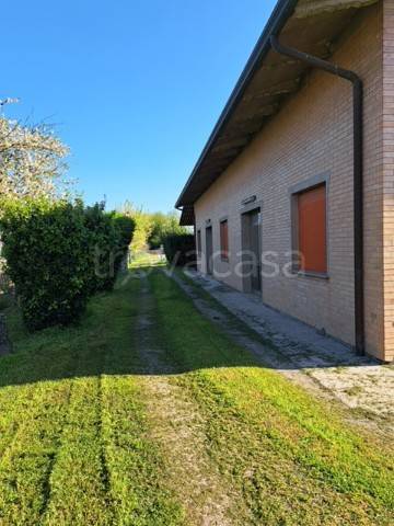immagine annuncio 3 di 9