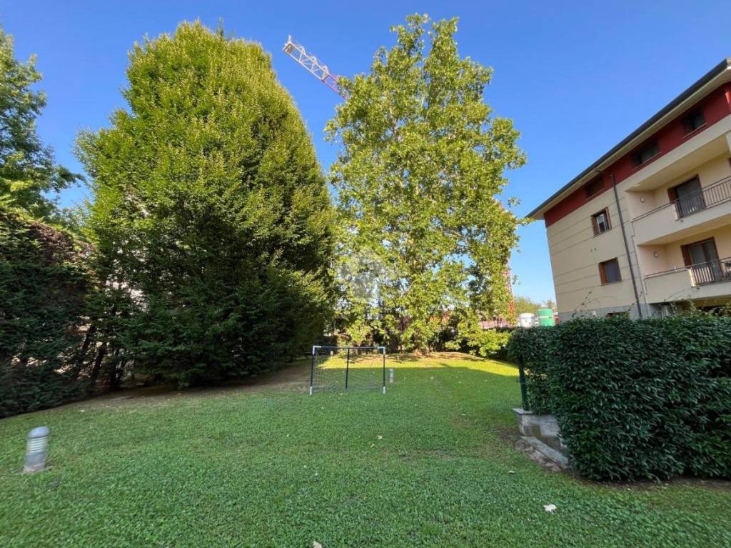 immagine annuncio 6 di 15