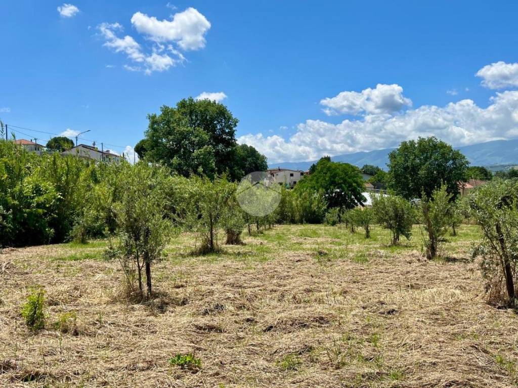 immagine annuncio 6 di 11