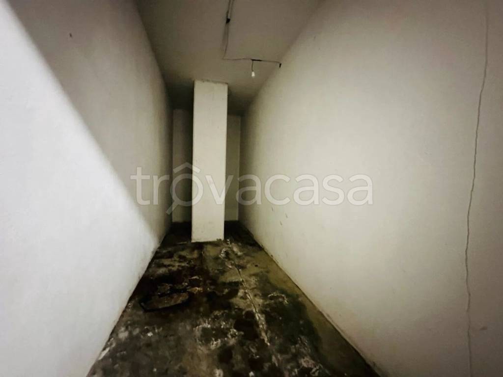 immagine annuncio 11 di 14
