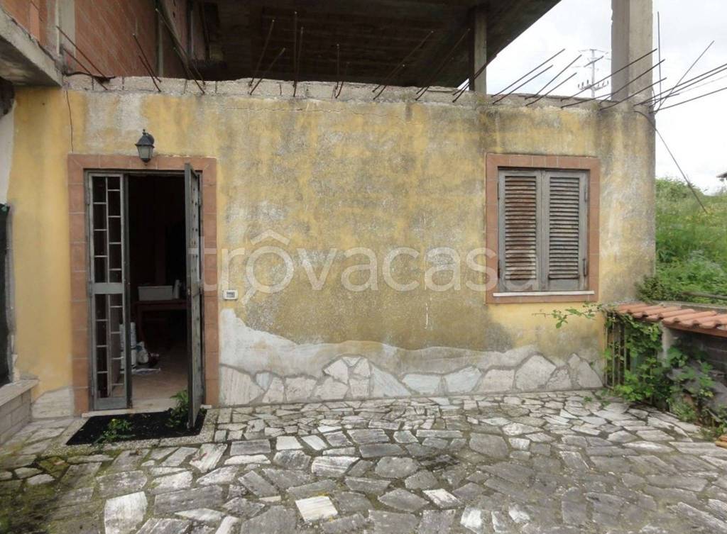 immagine annuncio 11 di 14
