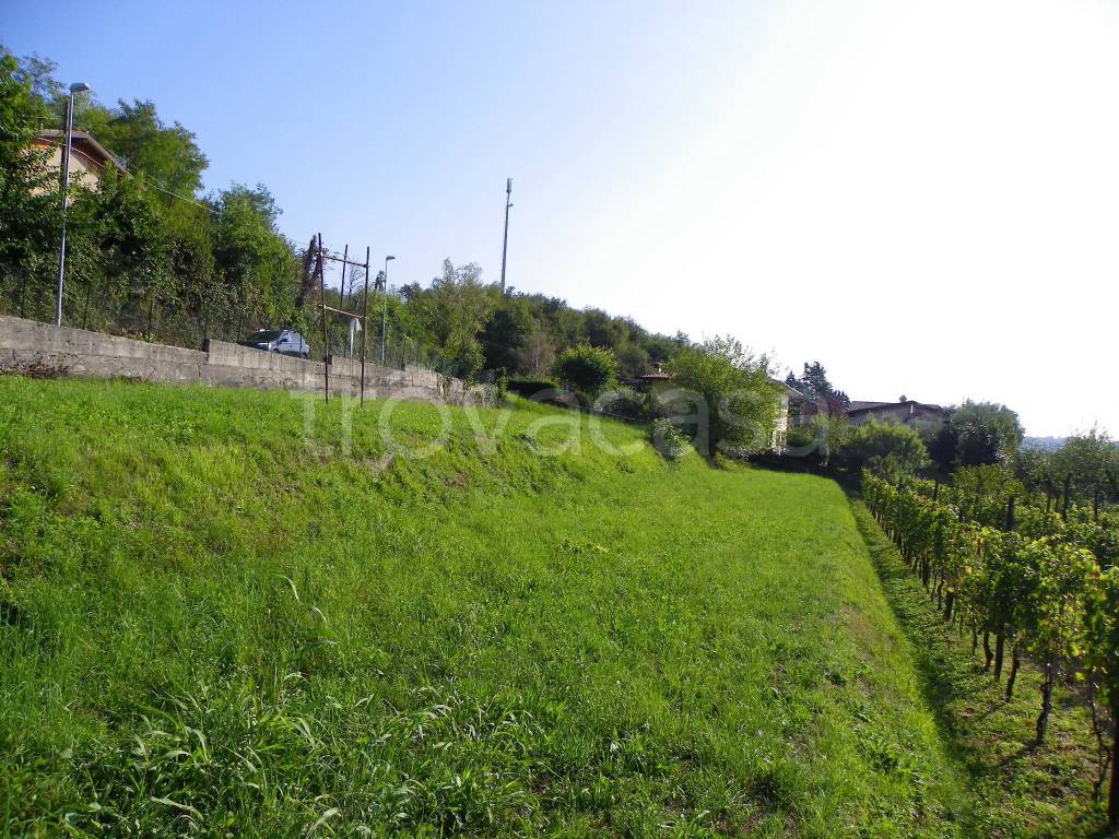 immagine annuncio 1 di 2