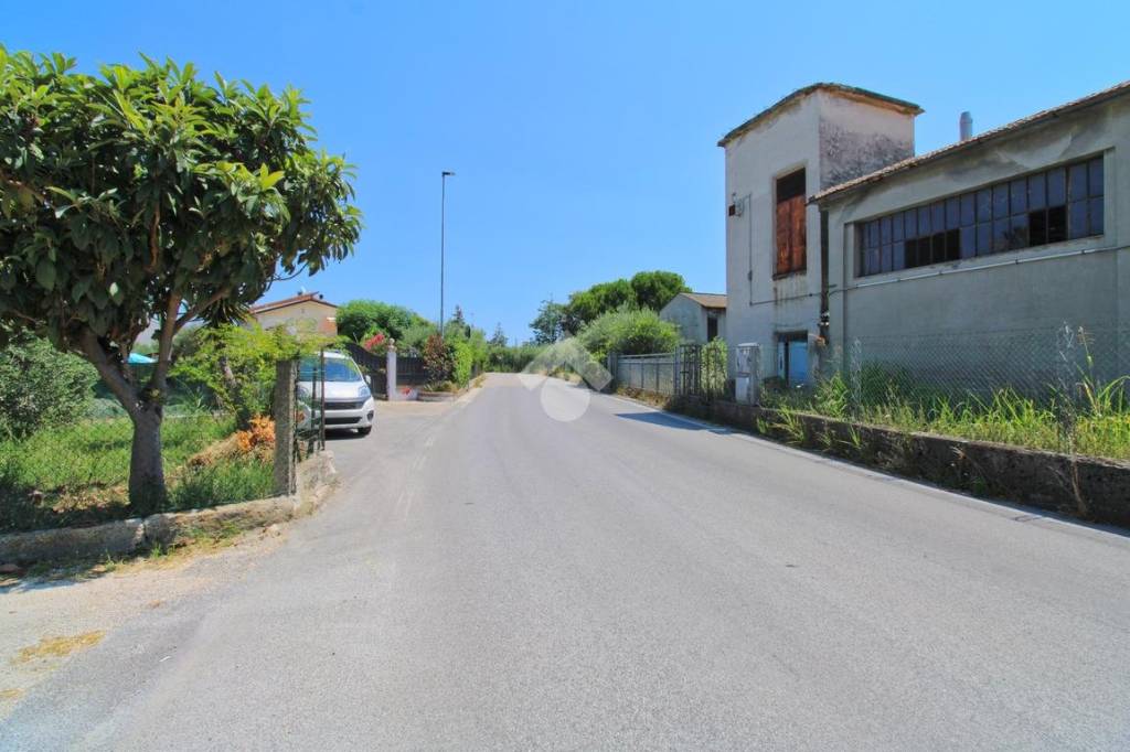 immagine annuncio 12 di 14