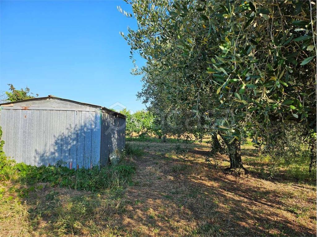 immagine annuncio 2 di 12