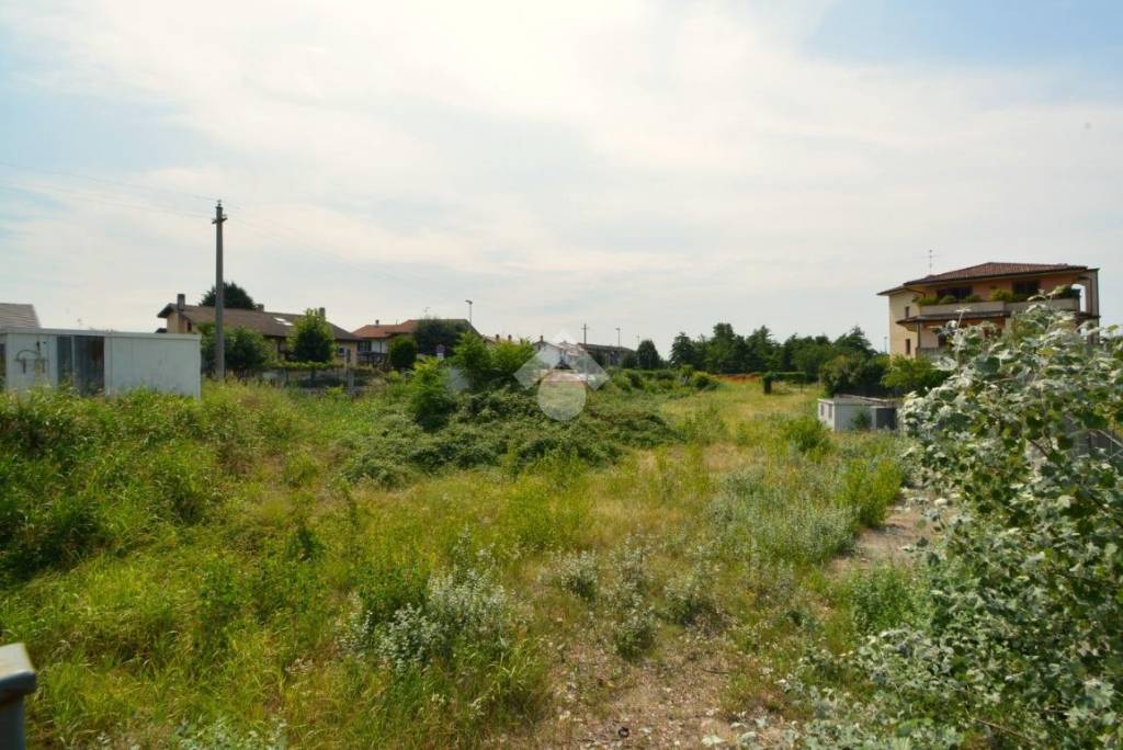 immagine annuncio 2 di 13