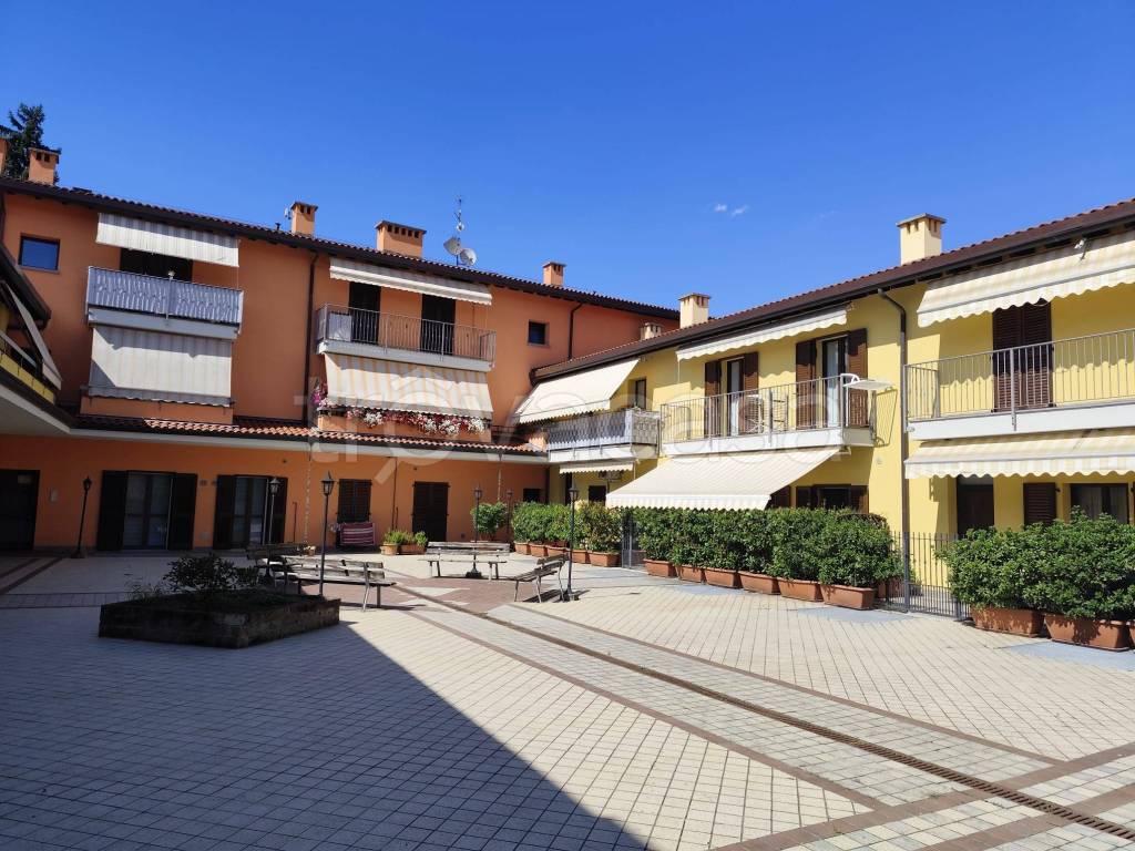 immagine annuncio 1 di 15