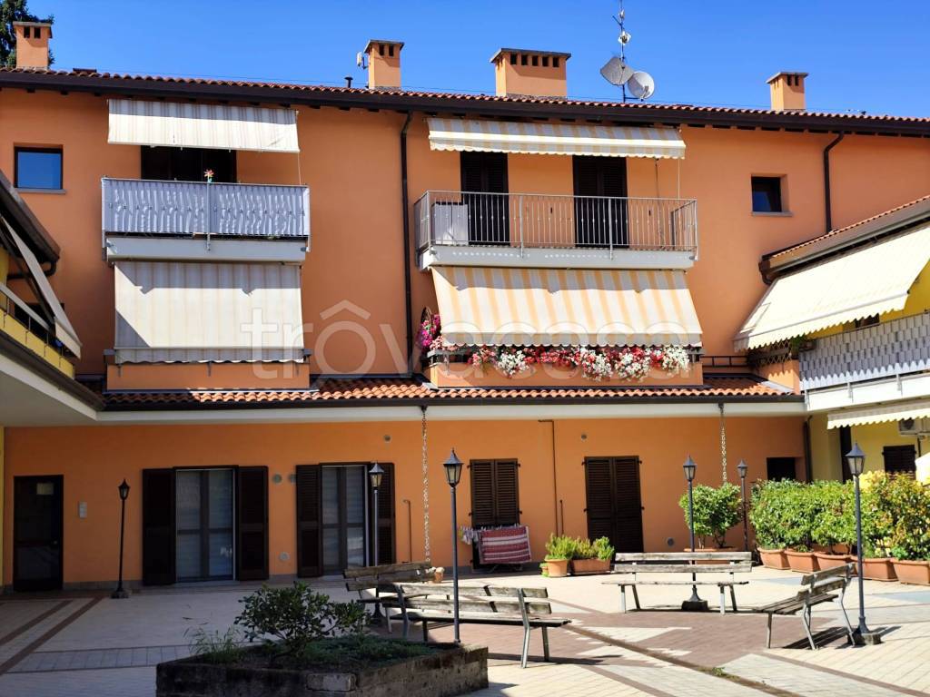 immagine annuncio 2 di 15