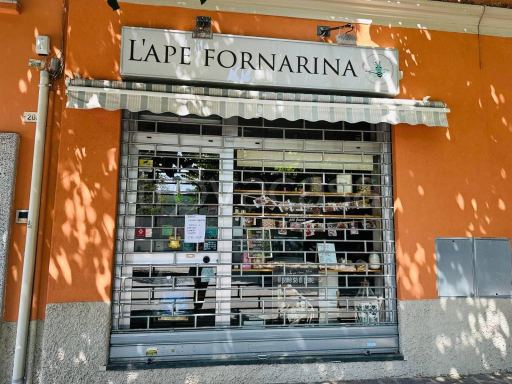 immagine annuncio 1 di 9